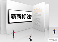 中华人民共和国商标法实施